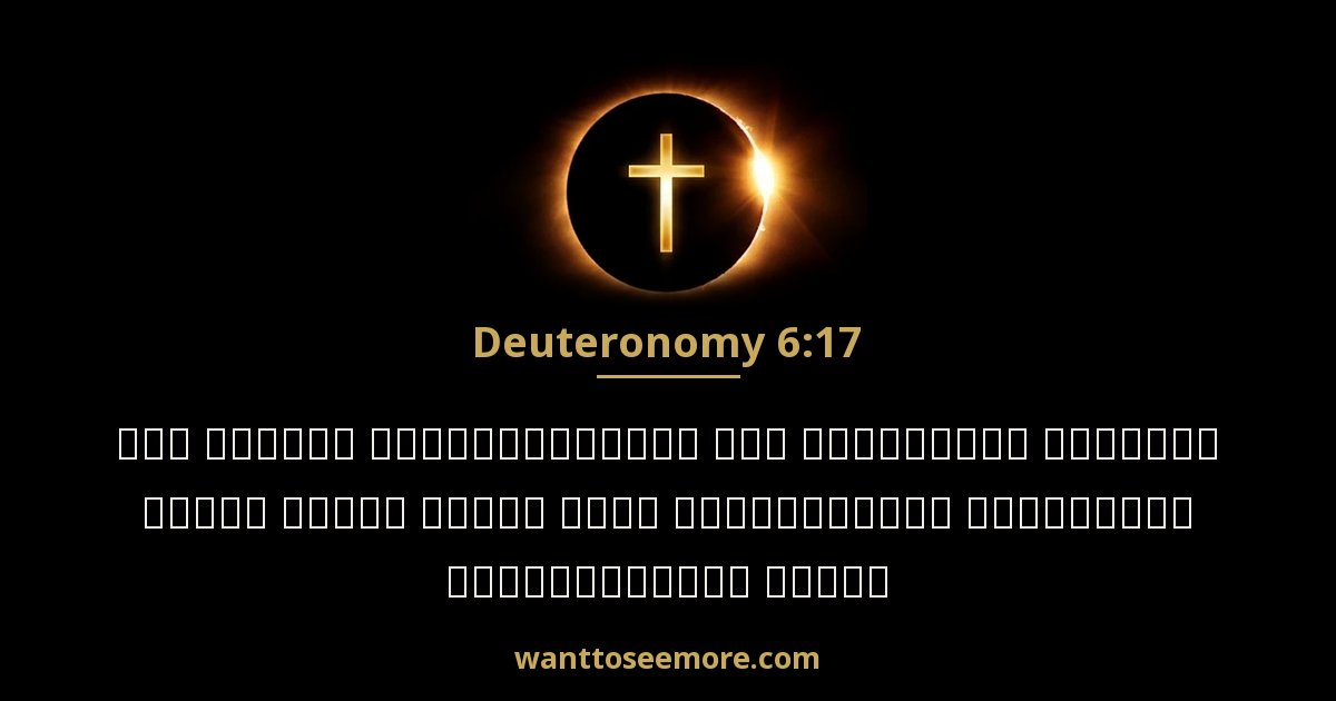 Deuteronomy 6:17
