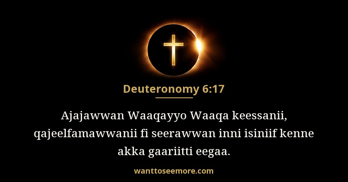 Deuteronomy 6:17