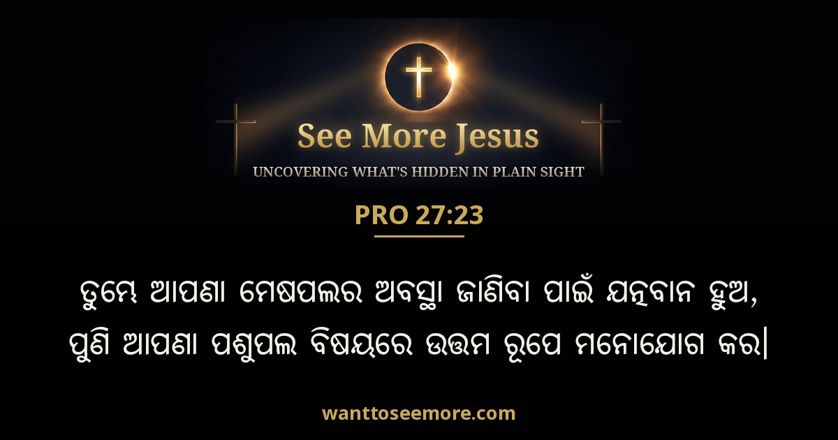 Proverbs 27:23