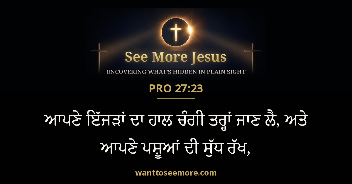 Proverbs 27:23