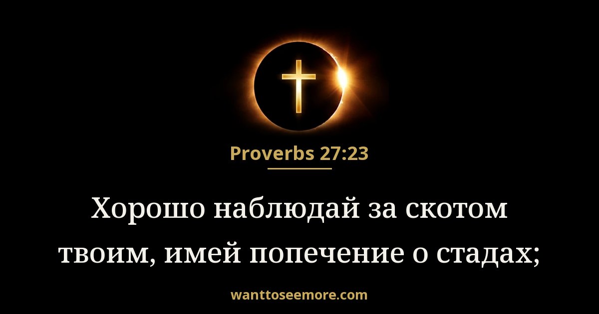 Proverbs 27:23