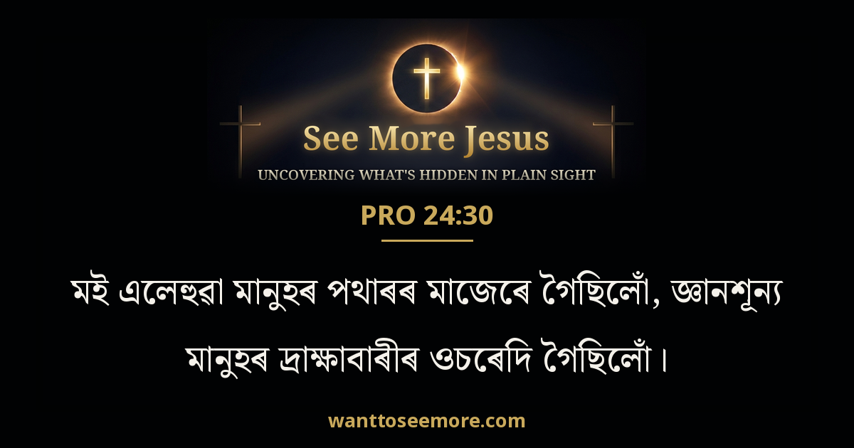 Proverbs 24:30