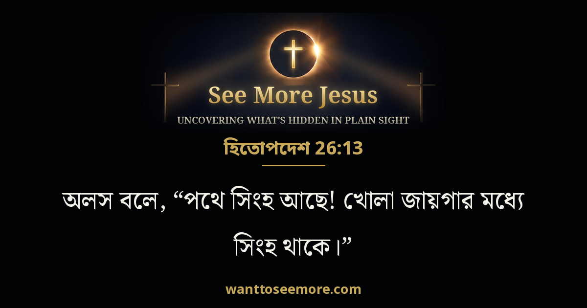 হিতোপদেশ 26:13