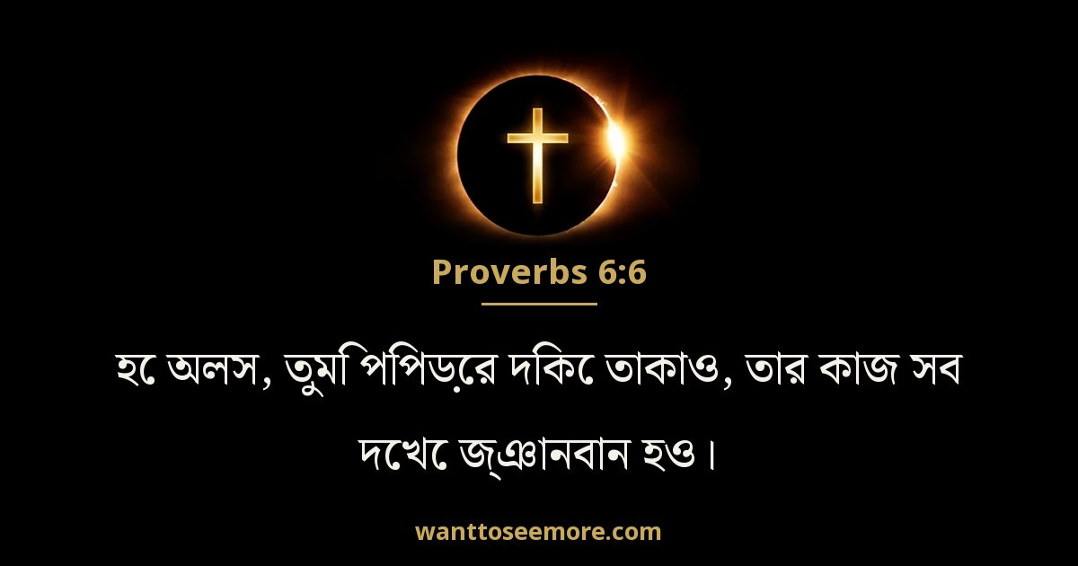 Proverbs 6:6