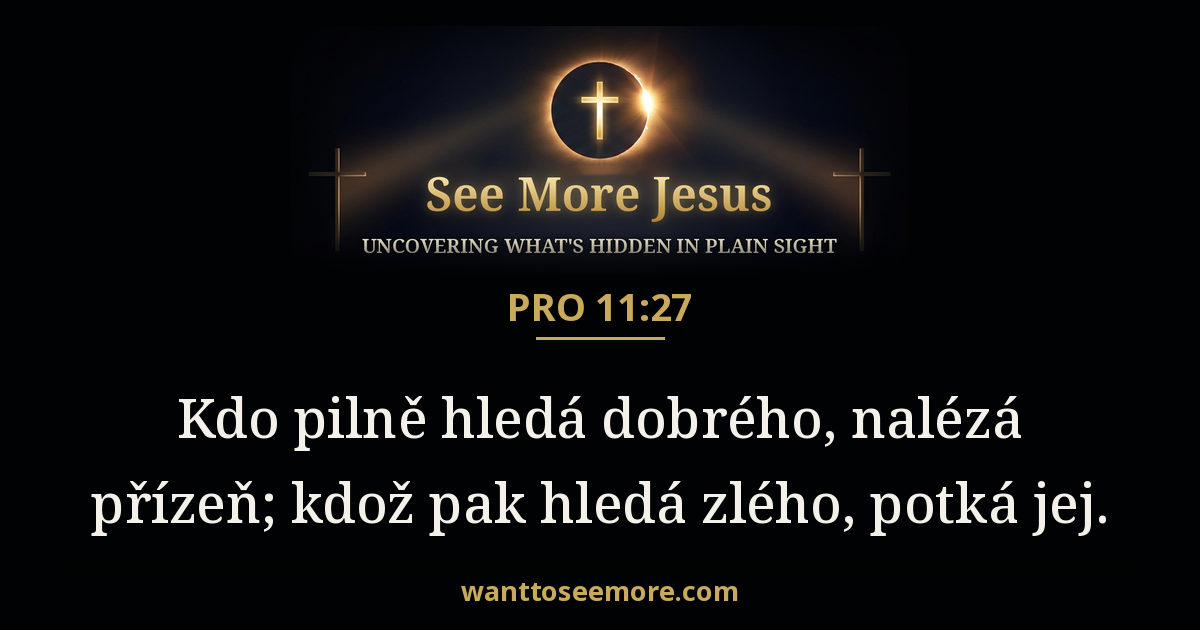 Proverbs 11:27