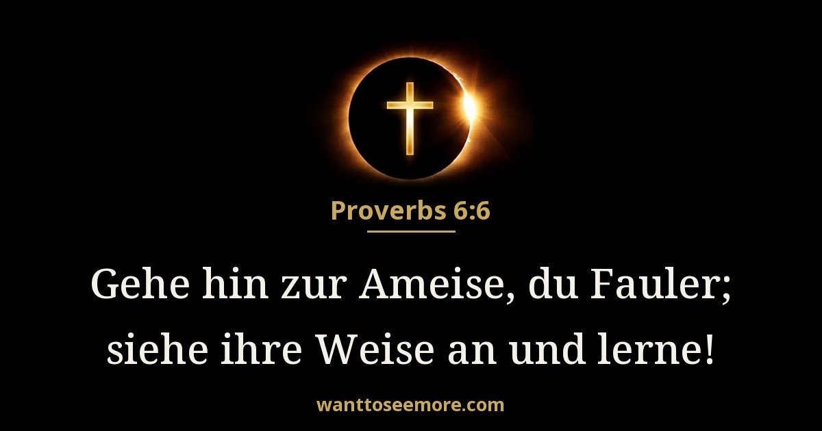 Proverbs 6:6