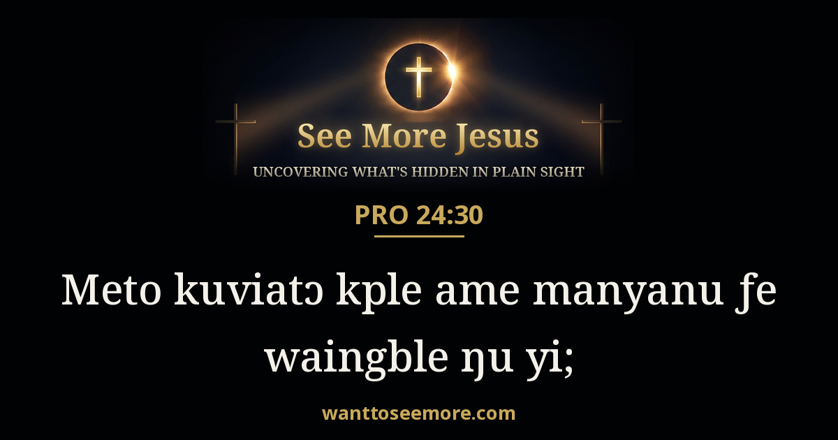 Proverbs 24:30