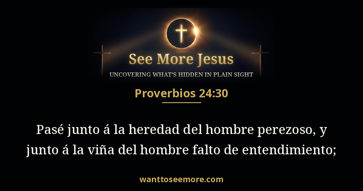 Proverbs 24:30