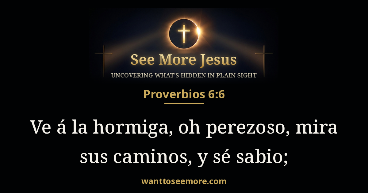 Proverbs 6:6