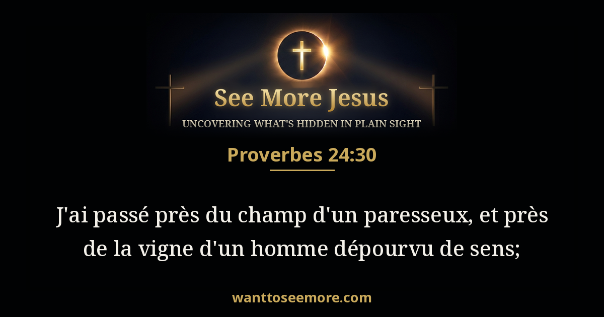 Proverbs 24:30