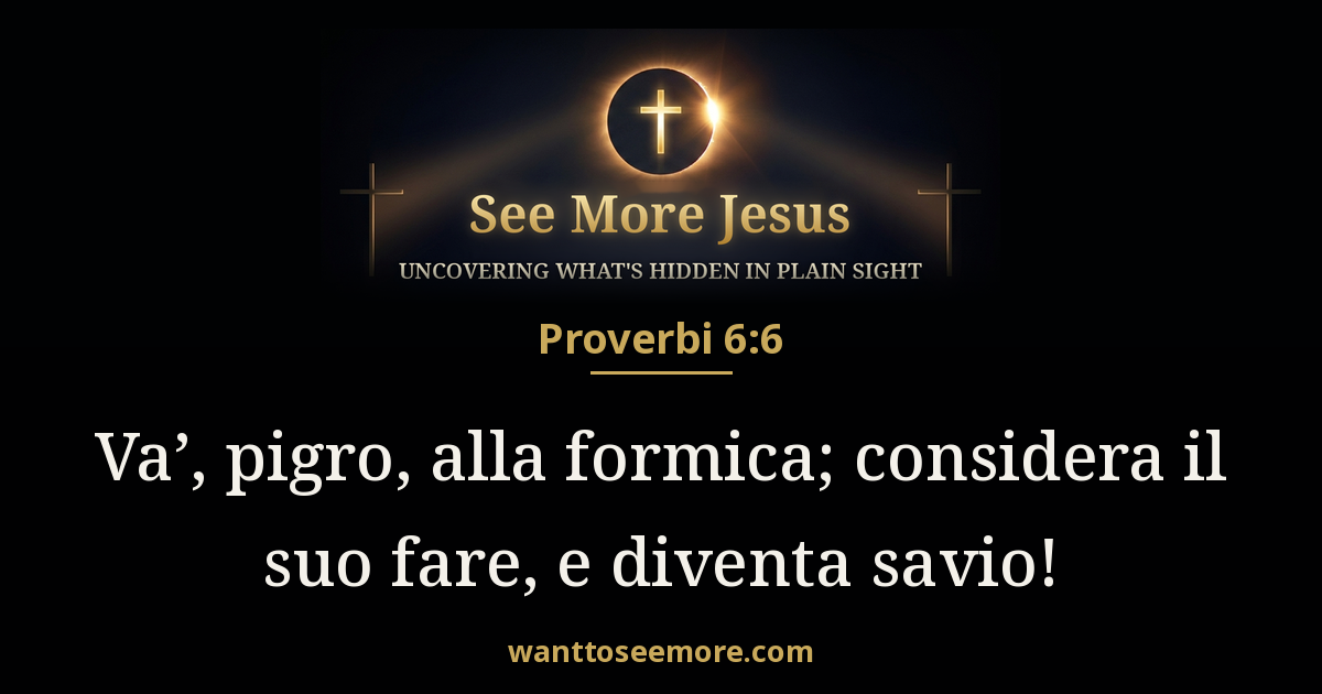 Proverbs 6:6