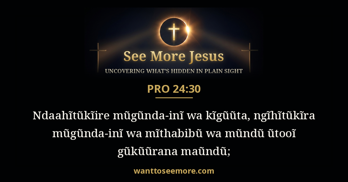 Proverbs 24:30