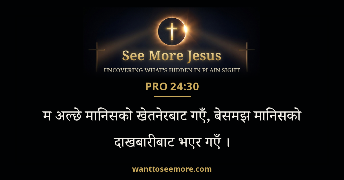 Proverbs 24:30