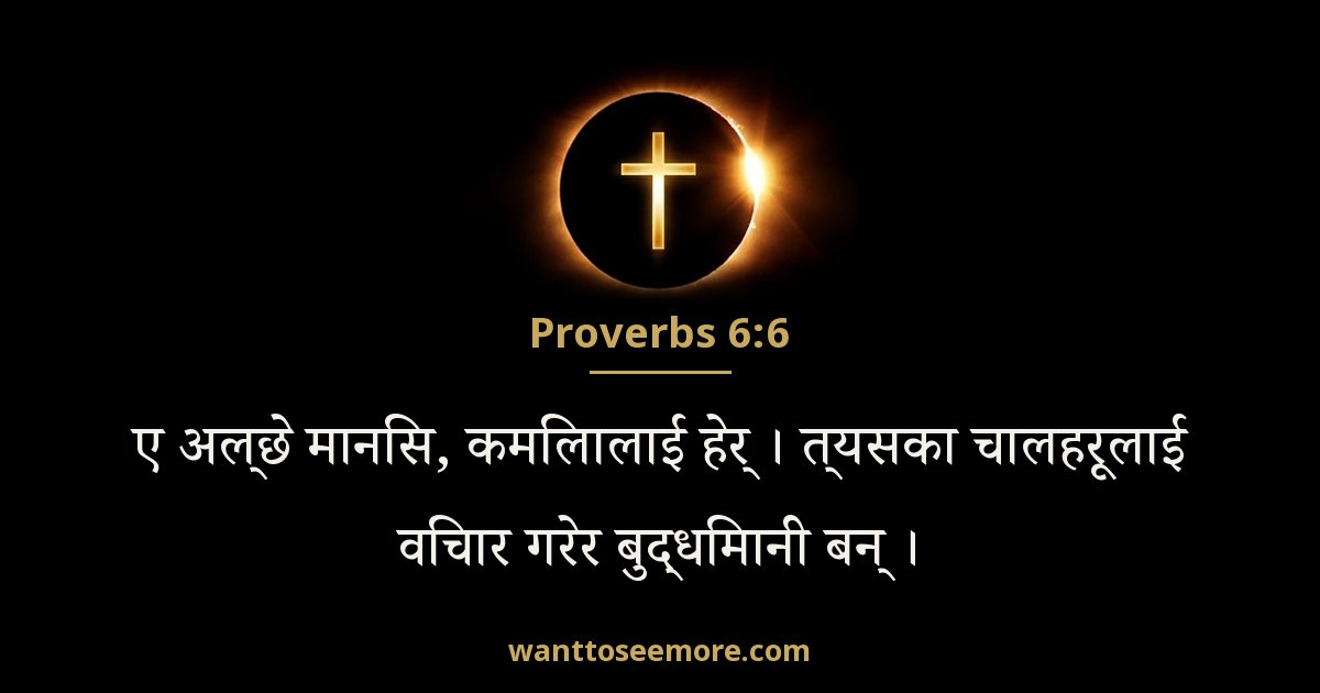 Proverbs 6:6