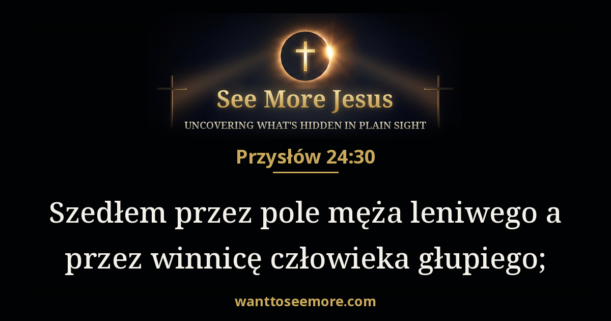 Proverbs 24:30