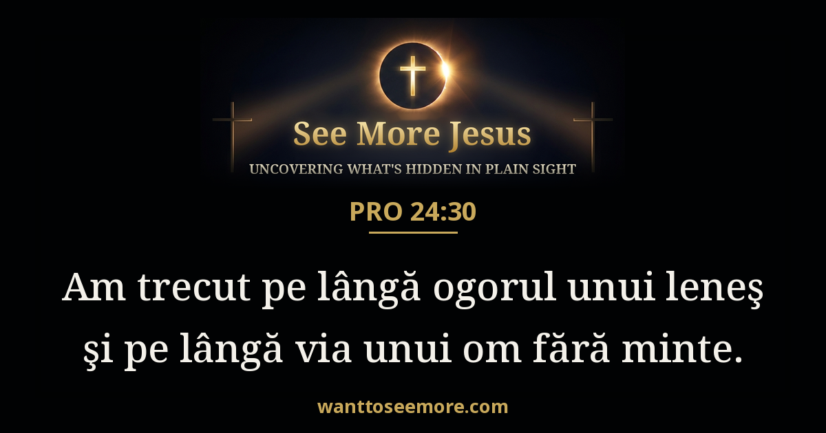 Proverbs 24:30