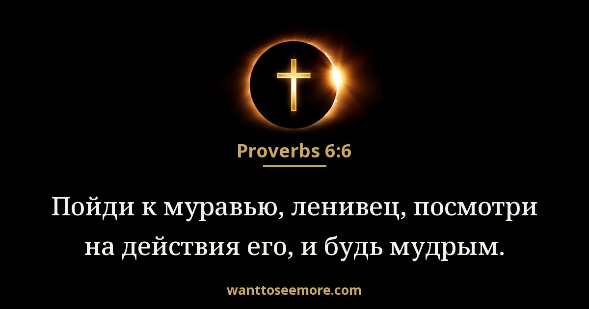 Proverbs 6:6