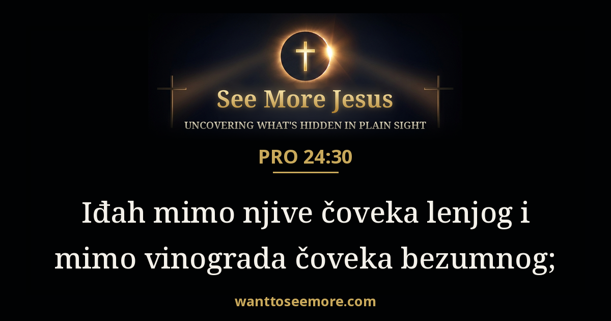 Proverbs 24:30