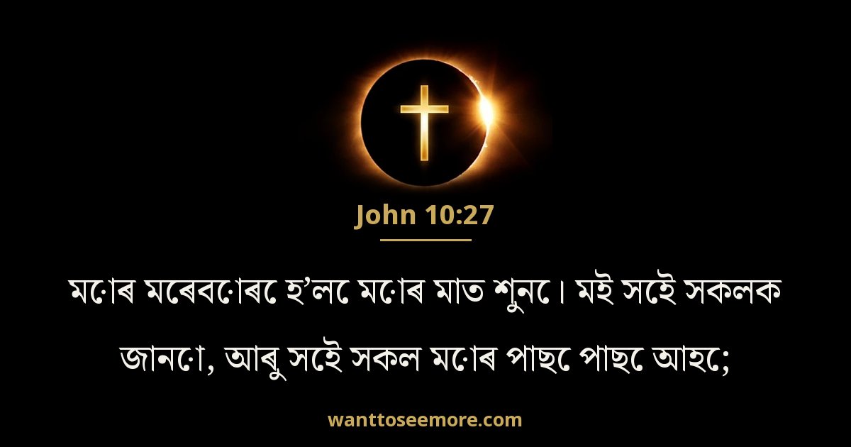 John 10:27