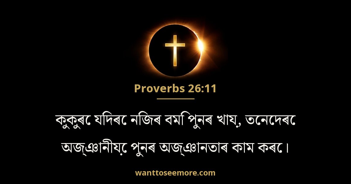 Proverbs 26:11