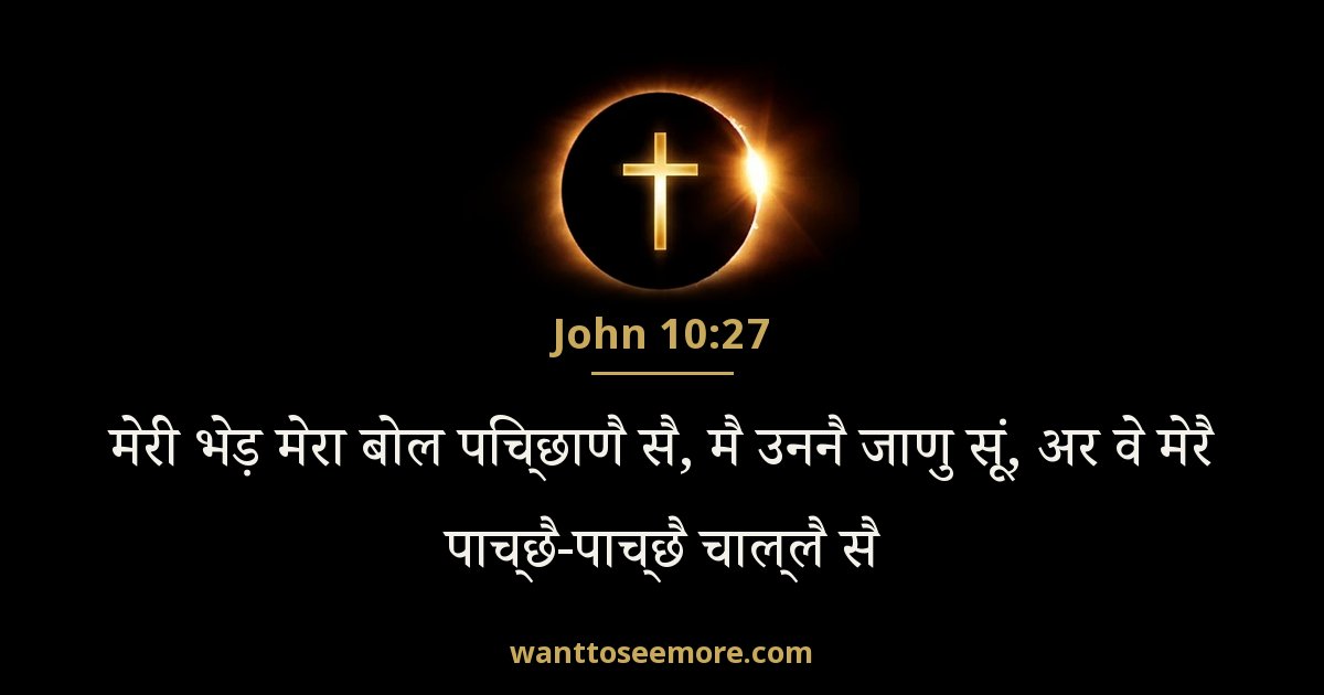 John 10:27