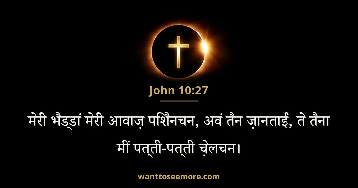 John 10:27