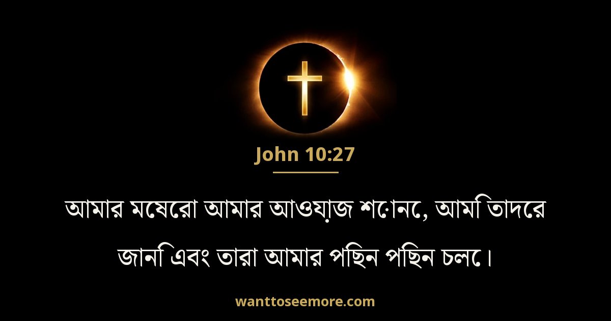 John 10:27