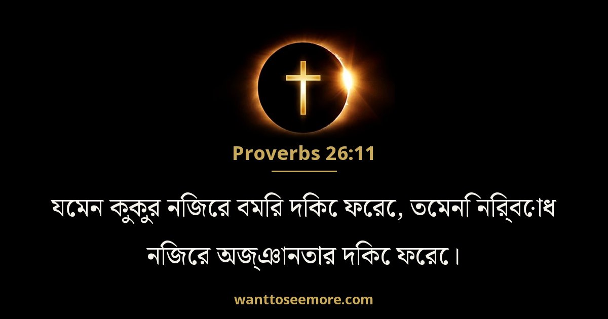 Proverbs 26:11