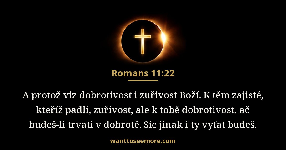 Romans 11:22