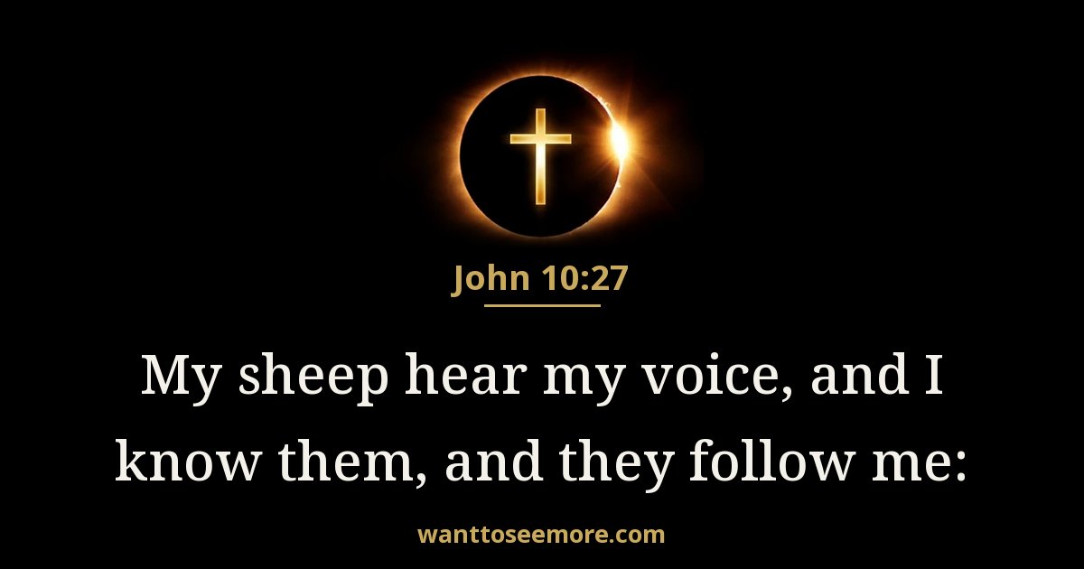 John 10:27