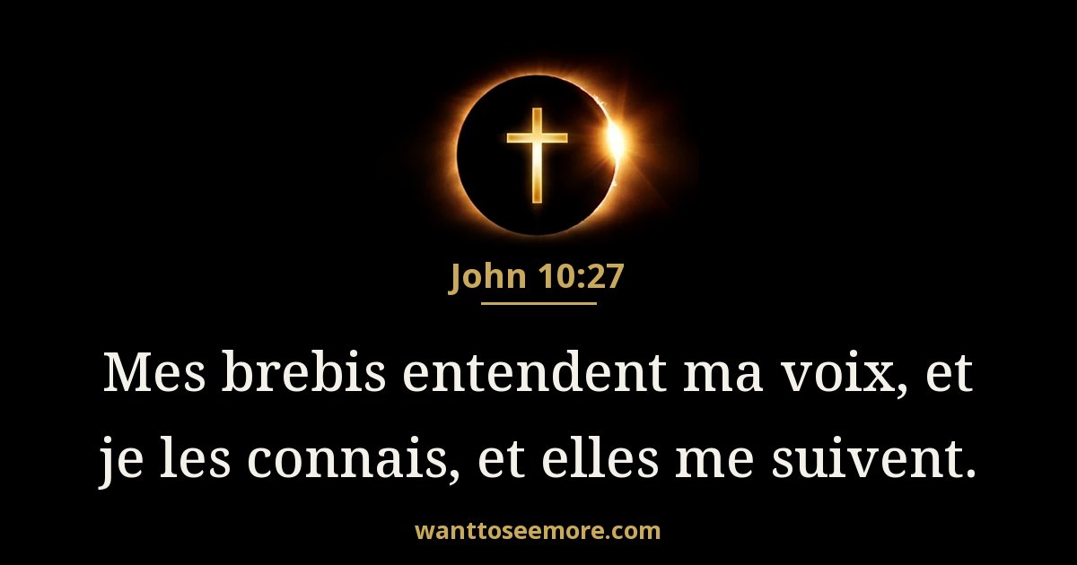 John 10:27
