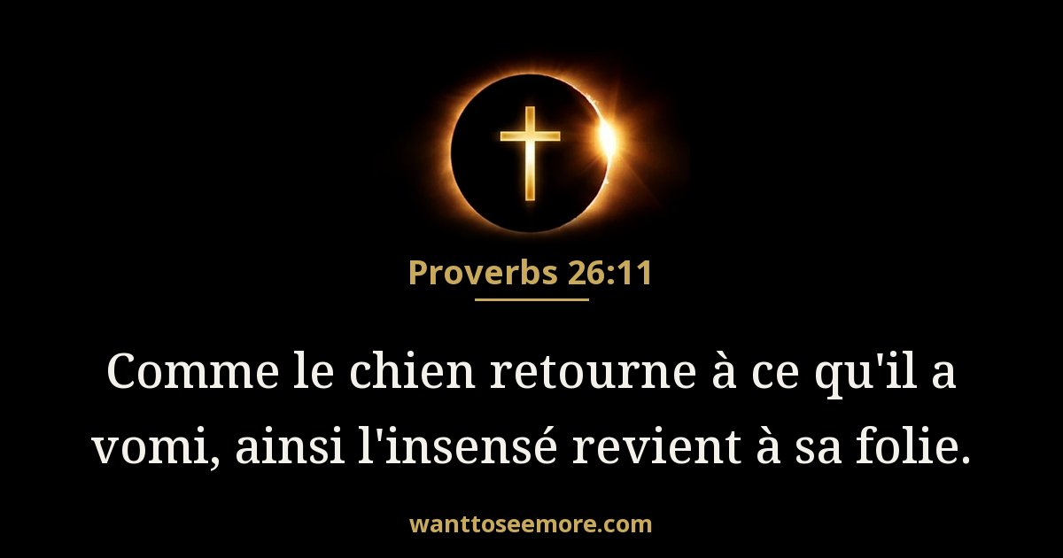Proverbs 26:11