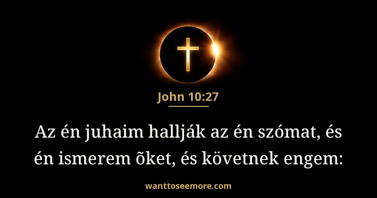 John 10:27
