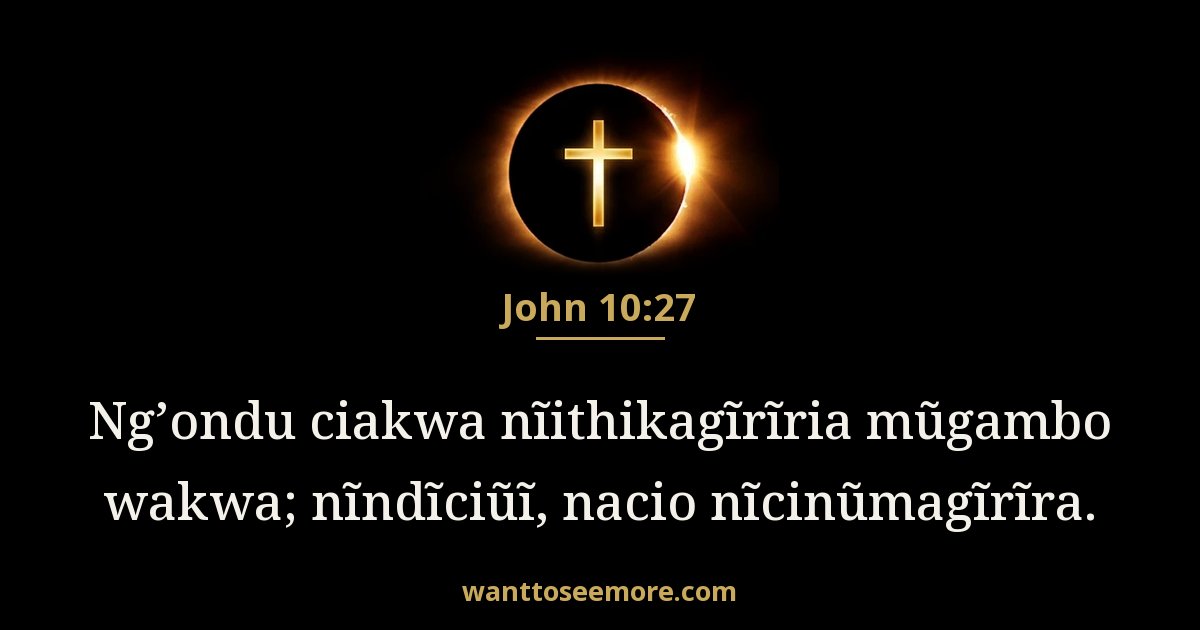 John 10:27