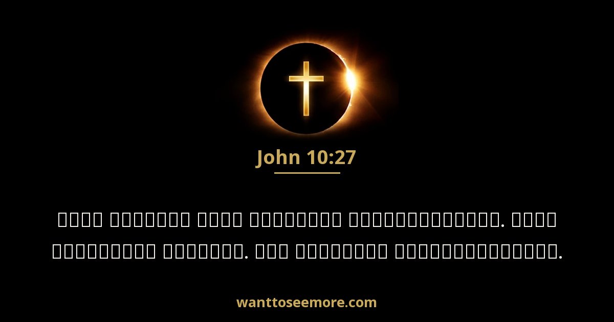 John 10:27