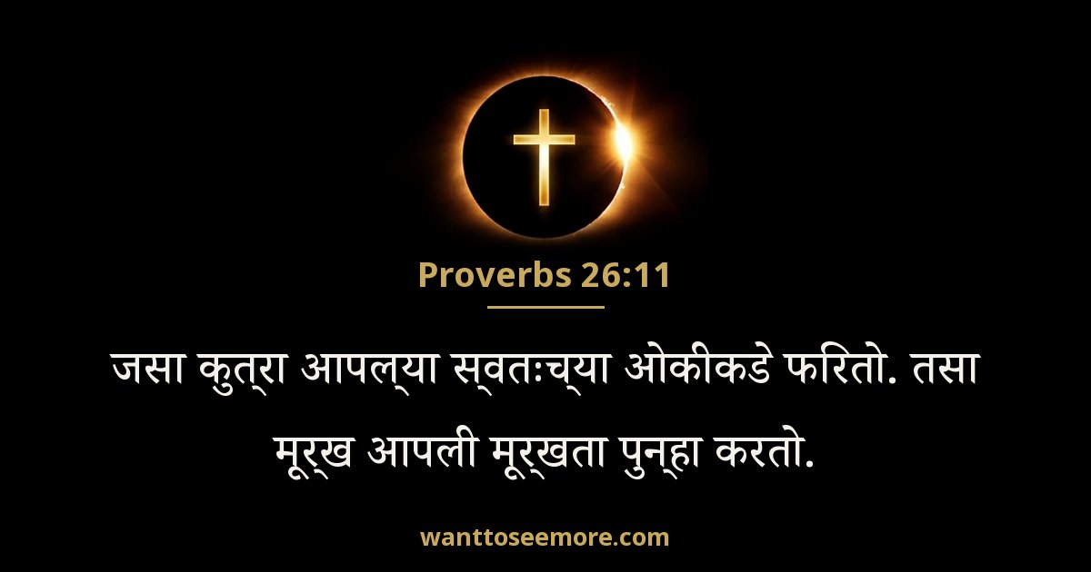 Proverbs 26:11