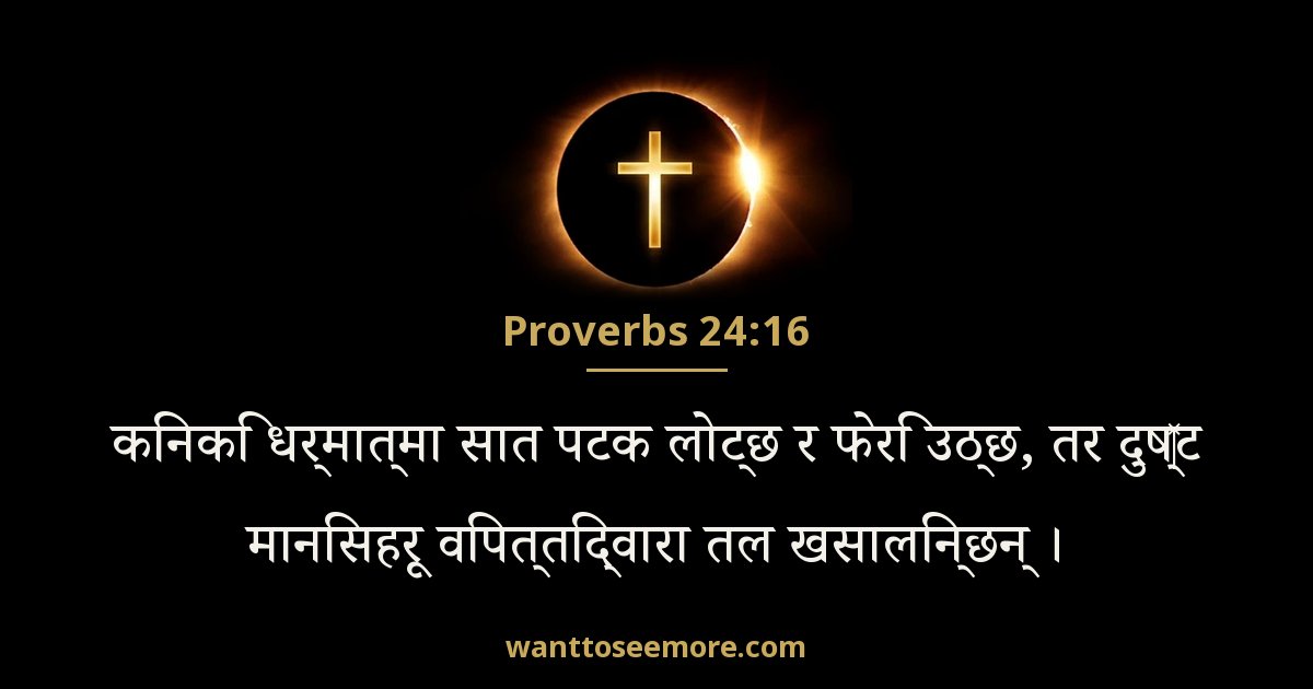 Proverbs 24:16