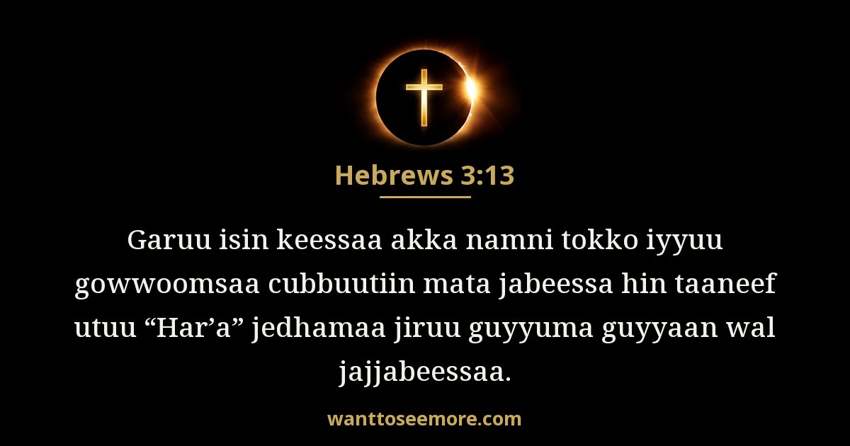 Hebrews 3:13