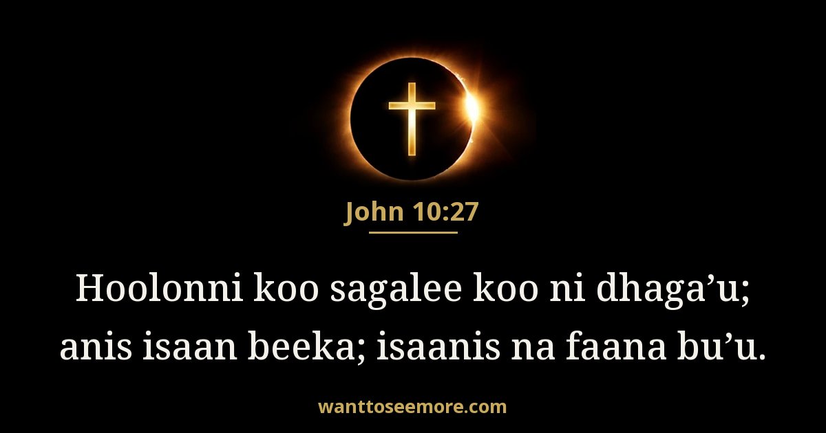 John 10:27