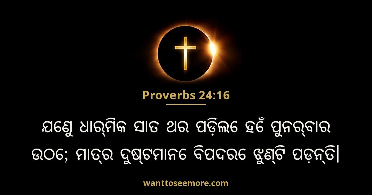 Proverbs 24:16