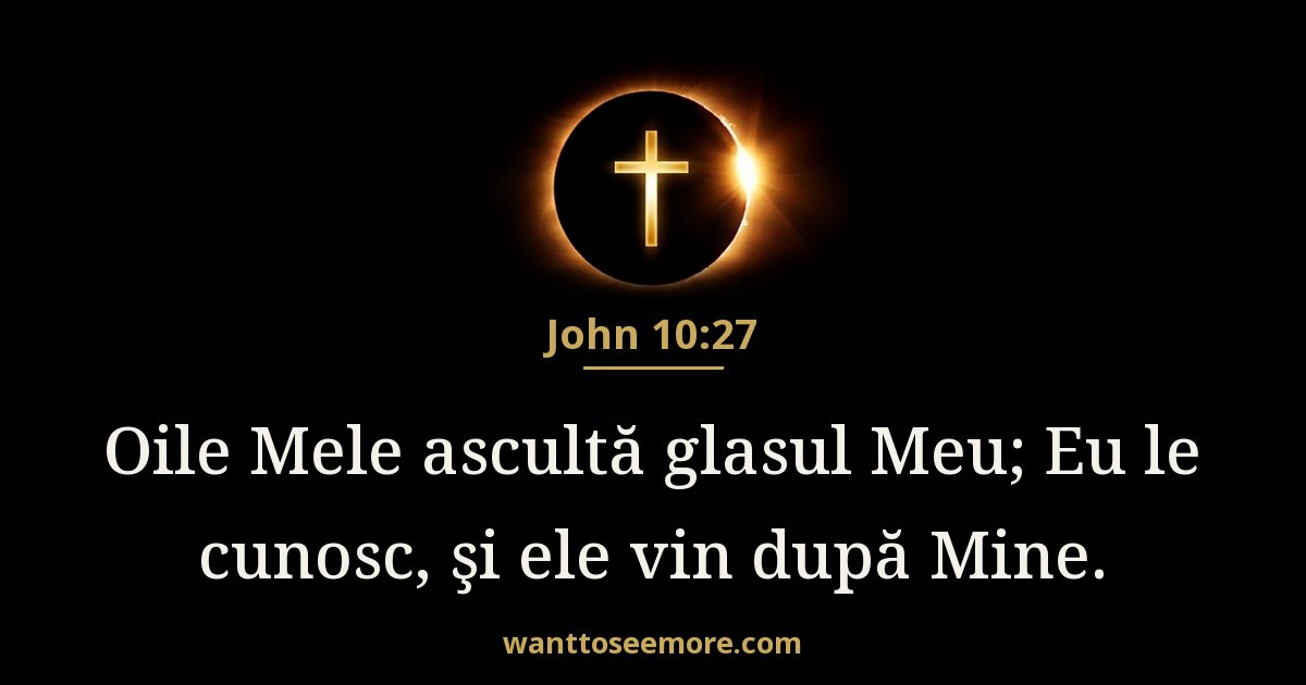 John 10:27