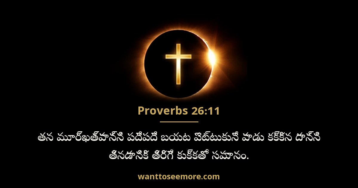 Proverbs 26:11