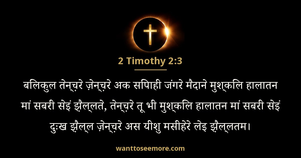 2 Timothy 2:3