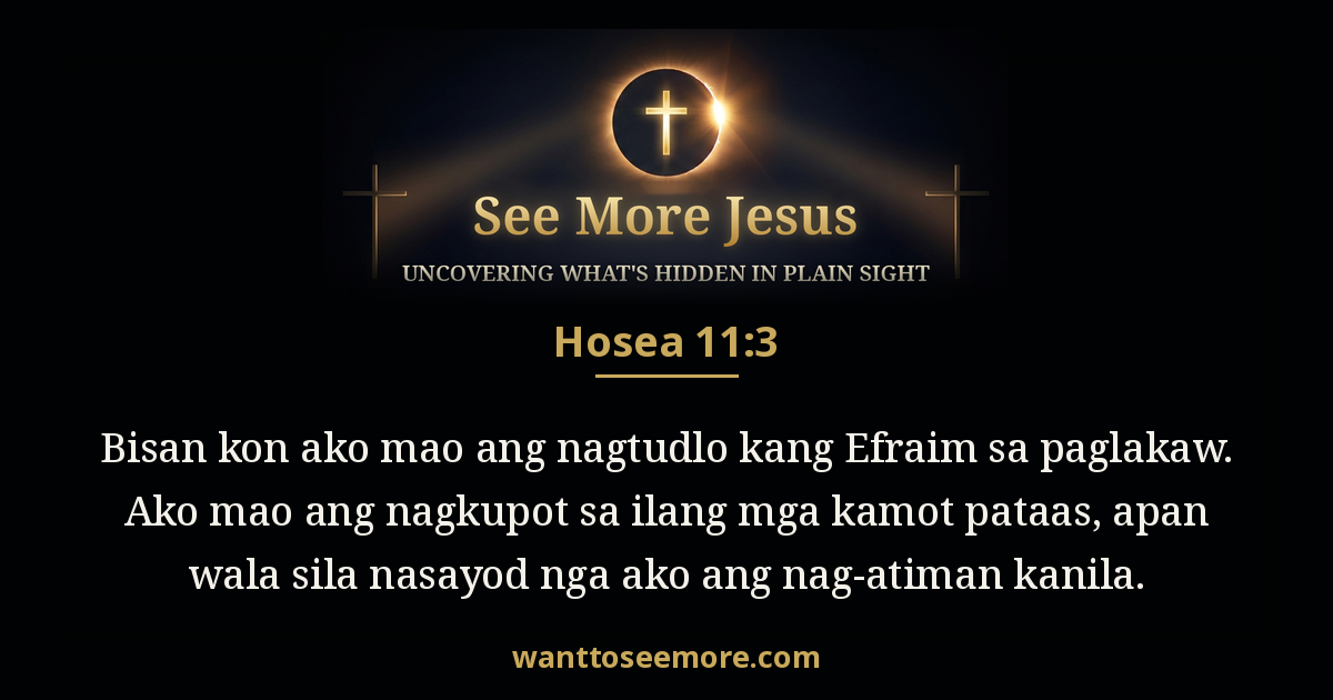 Hosea 11:3
