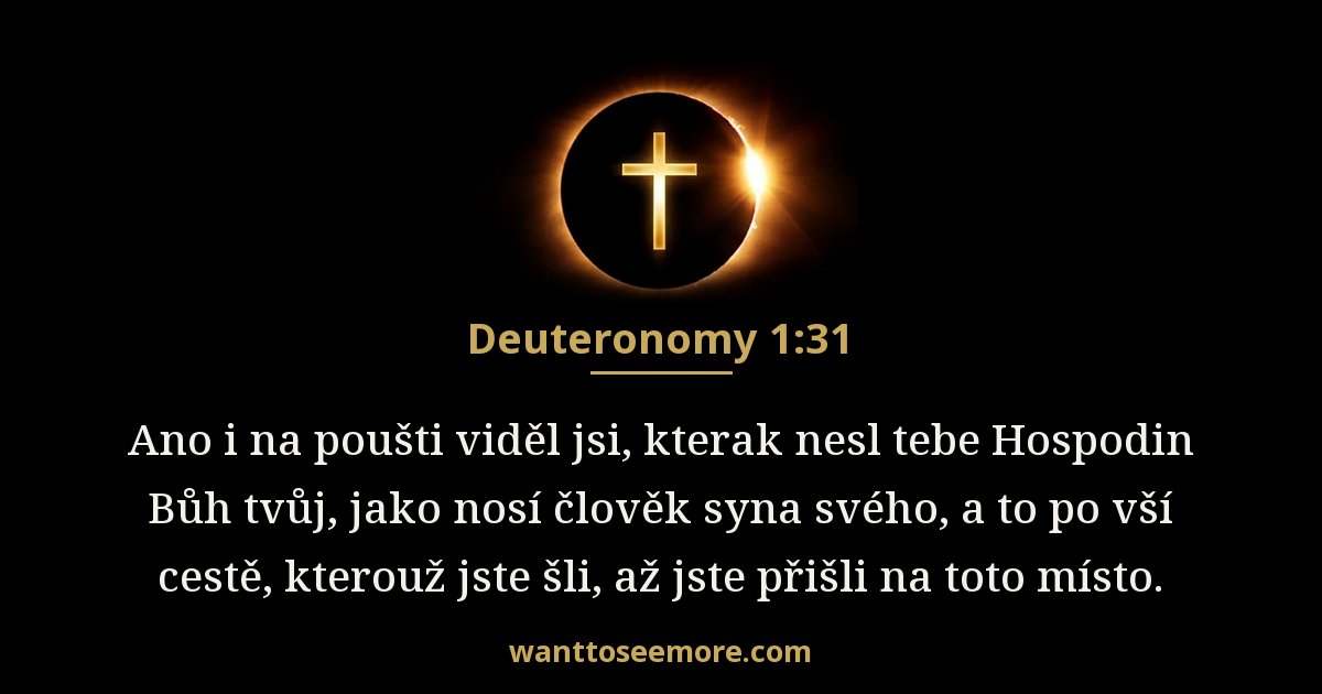 Deuteronomy 1:31