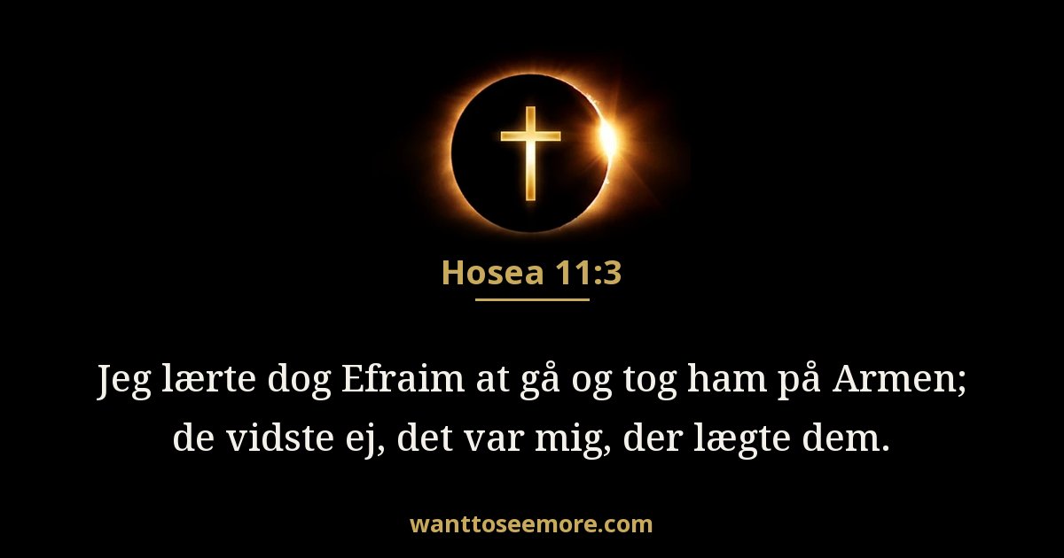 Hosea 11:3