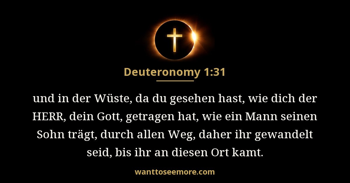 Deuteronomy 1:31