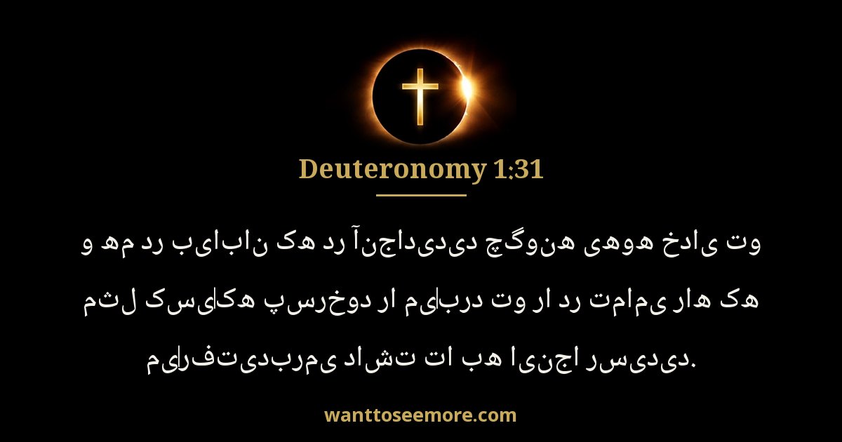 Deuteronomy 1:31