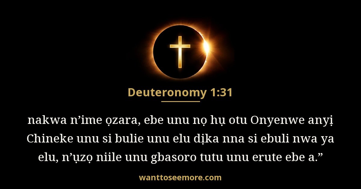 Diuteronomi 1:31
