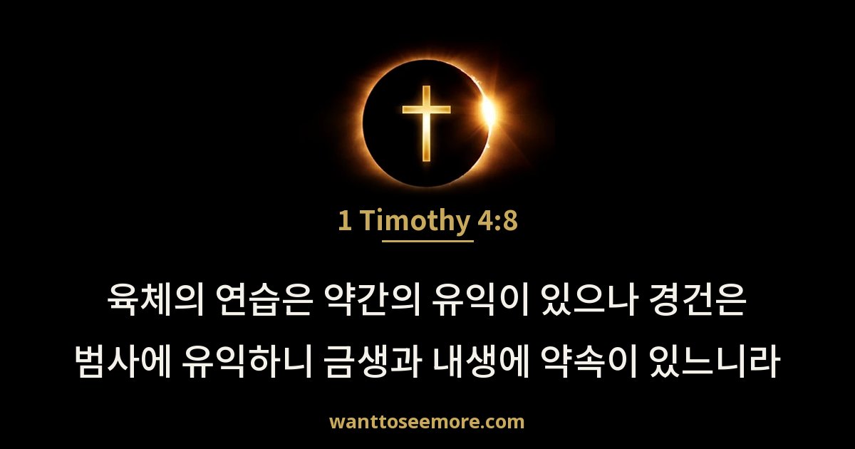 디모데전서 4:8